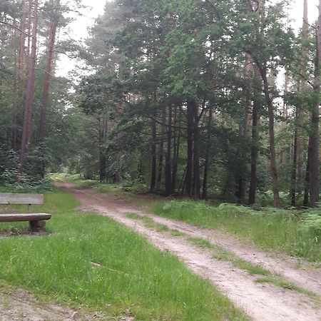 Auf Dem Hufen Daire Ribnitz-Damgarten Dış mekan fotoğraf